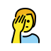 :man_facepalming: